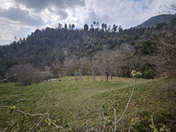 Offres de vente Terrain de loisir Lucéram 06440