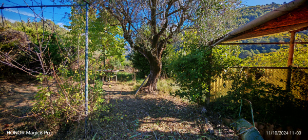 Offres de vente Terrain à batir L'Escarène 06440