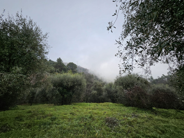 Offres de vente Terrain à batir Berre-les-Alpes 06390